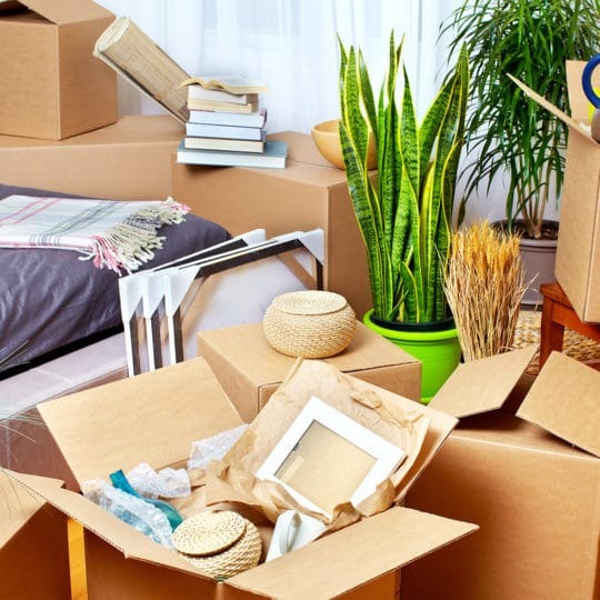 junk removal before moving
